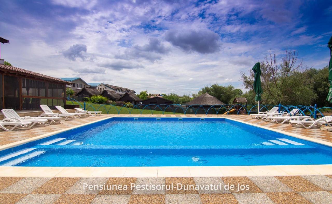 Pensiunea Pestisorul Dunavăţu de Jos المظهر الخارجي الصورة