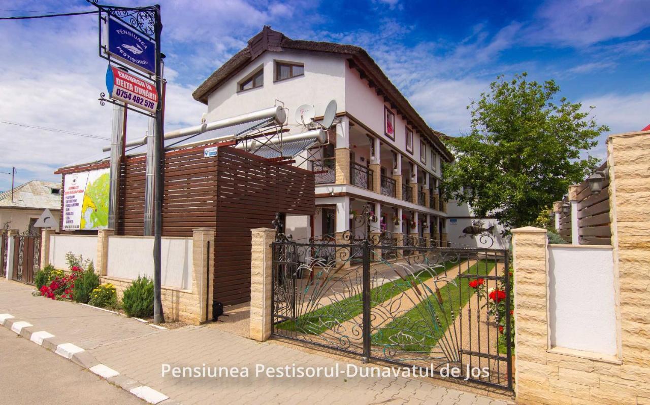 Pensiunea Pestisorul Dunavăţu de Jos المظهر الخارجي الصورة