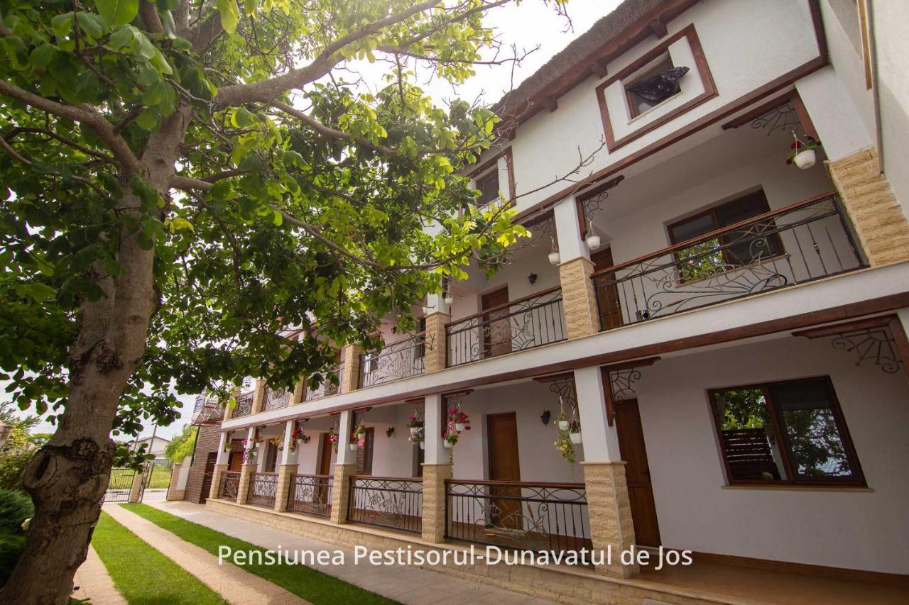 Pensiunea Pestisorul Dunavăţu de Jos المظهر الخارجي الصورة