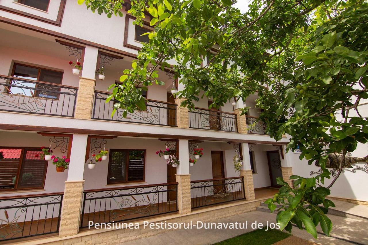 Pensiunea Pestisorul Dunavăţu de Jos المظهر الخارجي الصورة