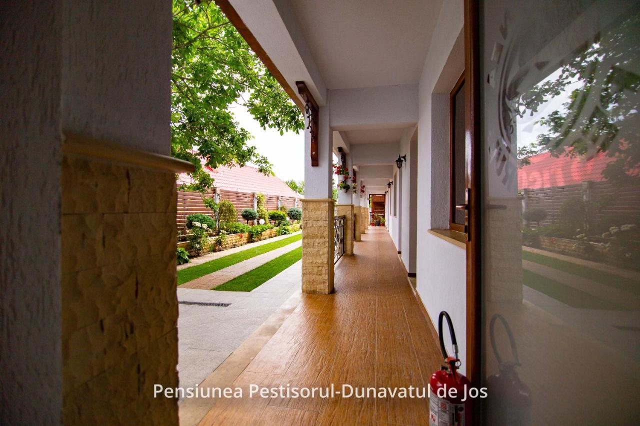 Pensiunea Pestisorul Dunavăţu de Jos المظهر الخارجي الصورة